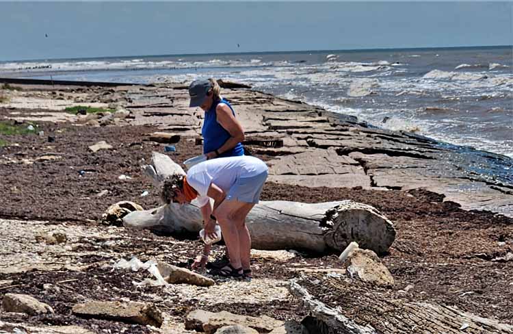 searching for sea glass